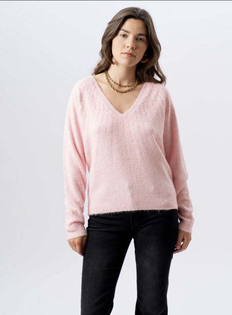 Pull Stockholm Rose