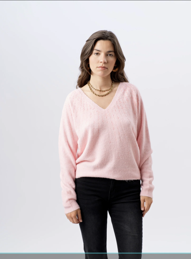 Pull Stockholm Rose