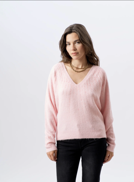 Pull Stockholm Rose