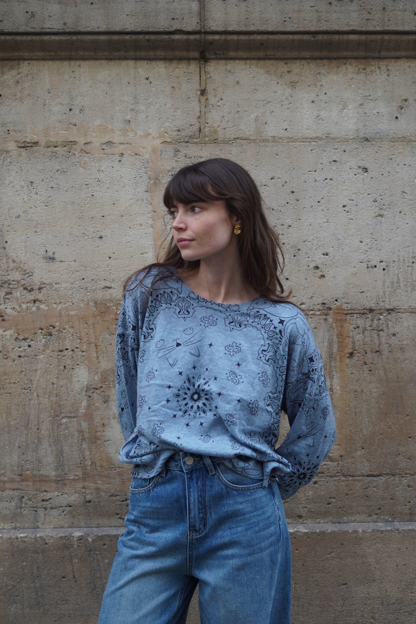 Pull Linda Bandana aux motifs Chat